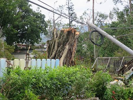 台東龍田國小