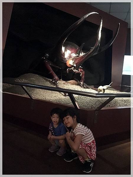 20190629_IMG_7758.JPG