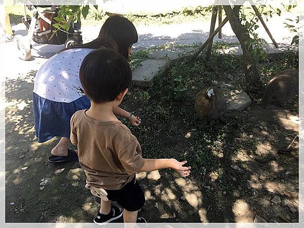 20190901_IMG_9735.JPG
