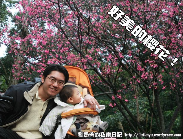 網路行銷SOP