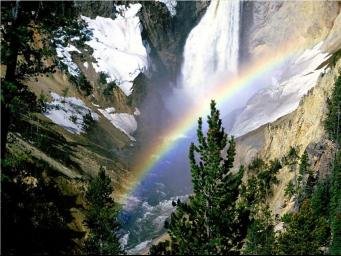 rainbow05[1].jpg