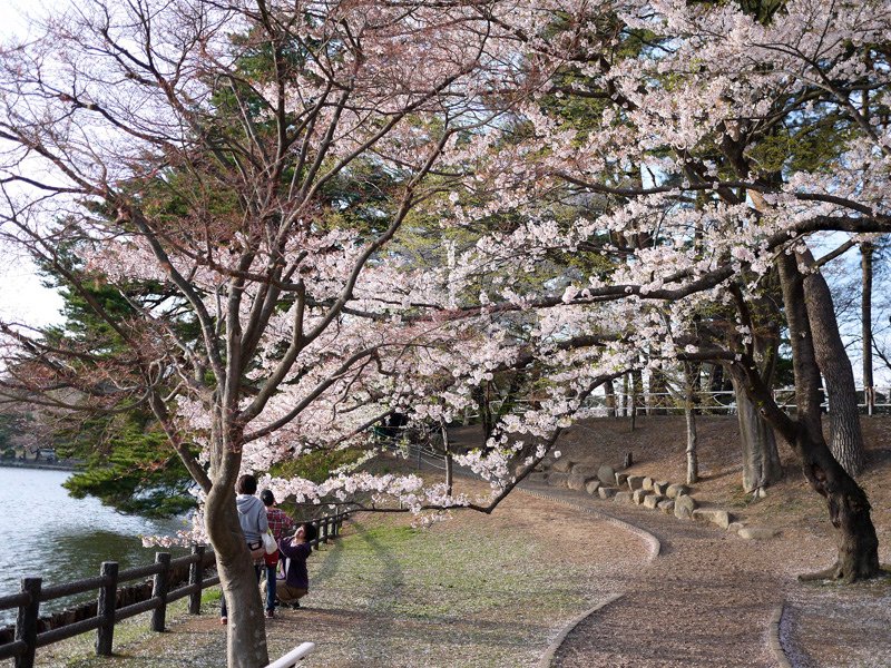 _1080502