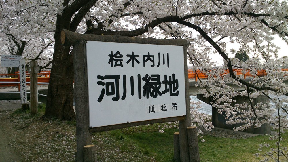 2014春~上高地&amp;東北賞櫻~第五天~角館(武家屋敷&amp;桧木内