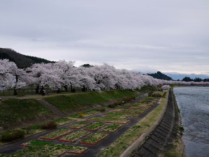 2014春~上高地&amp;東北賞櫻~第五天~角館(武家屋敷&amp;桧木内