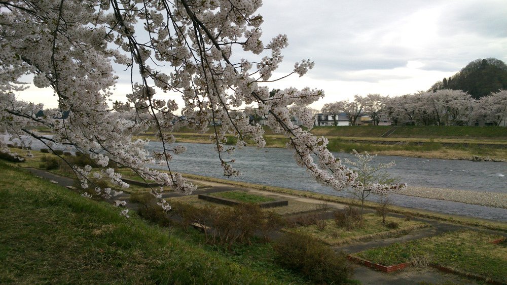 2014春~上高地&amp;東北賞櫻~第五天~角館(武家屋敷&amp;桧木内