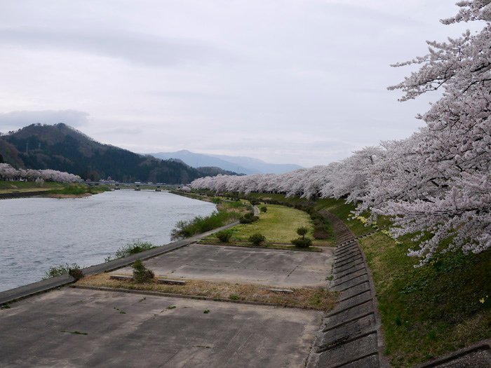 2014春~上高地&amp;東北賞櫻~第五天~角館(武家屋敷&amp;桧木内