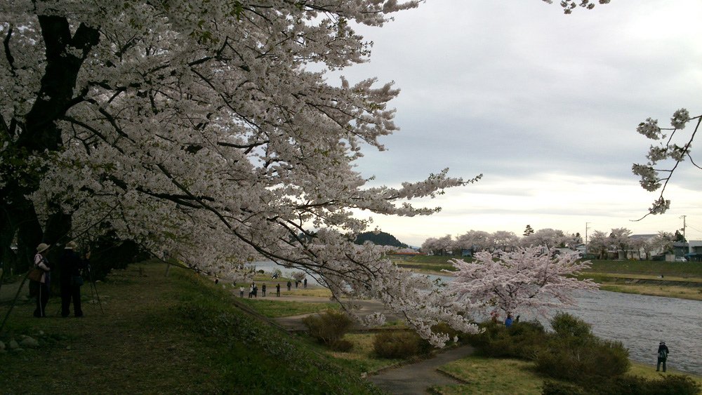 2014春~上高地&amp;東北賞櫻~第五天~角館(武家屋敷&amp;桧木内