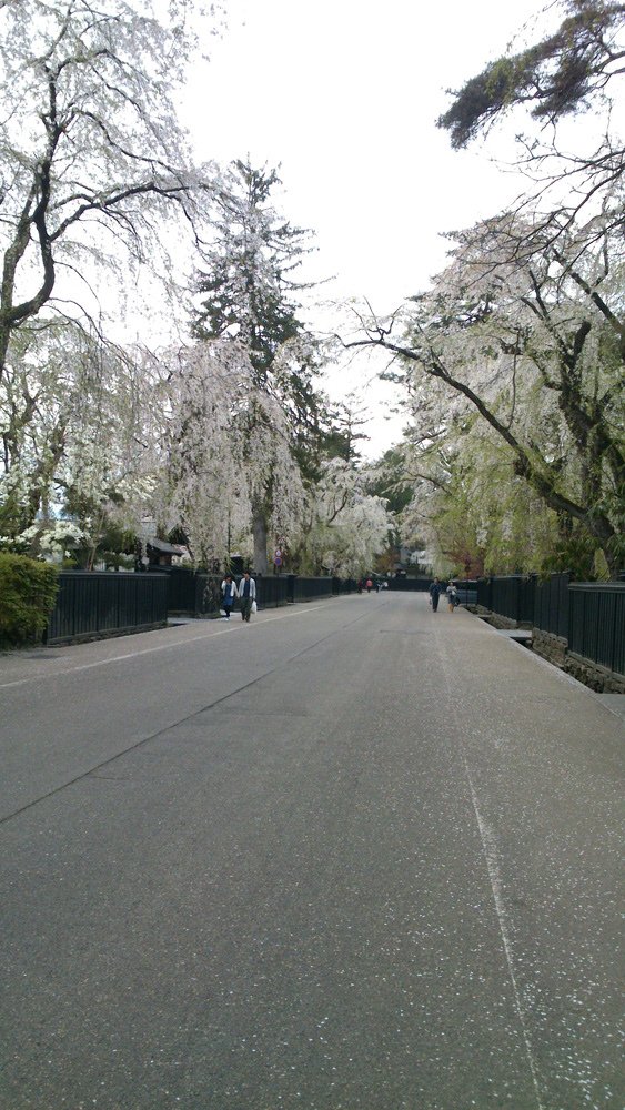 2014春~上高地&amp;東北賞櫻~第五天~角館(武家屋敷&amp;桧木内