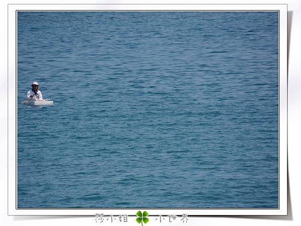 0370SAM_0806