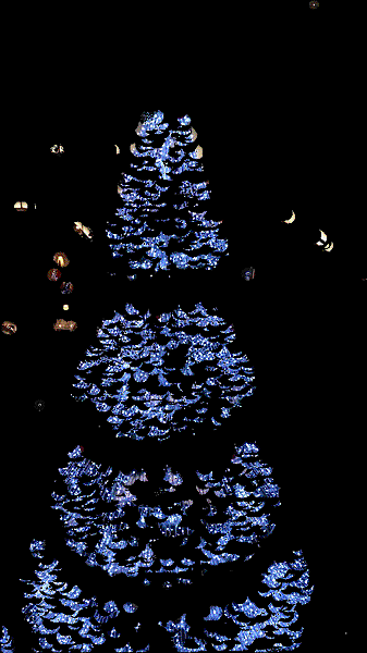 DSC_4950-TWINKLE