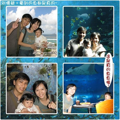 第二天美之海水族館之2.jpg