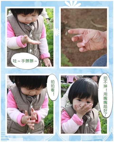 1y4m拔蘿蔔4.jpg