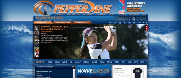 Liv pepperdine screen print.JPG