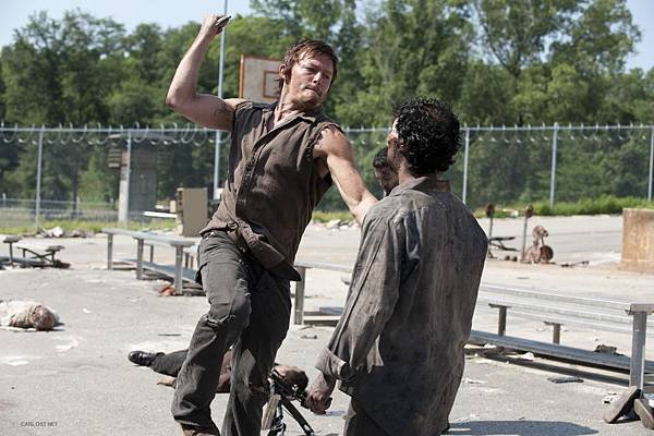 the walking dead