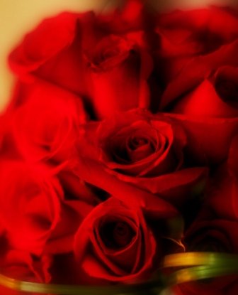 roses.jpg