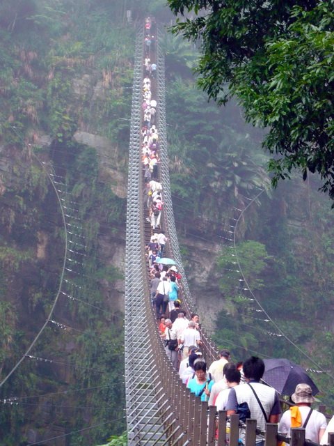 P1090274.jpg