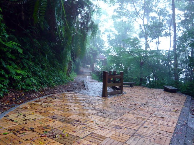 P1090299.jpg