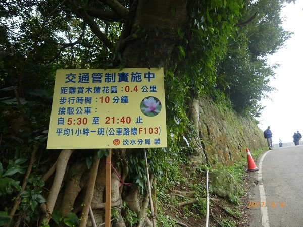 楓樹湖步道與木蘭花