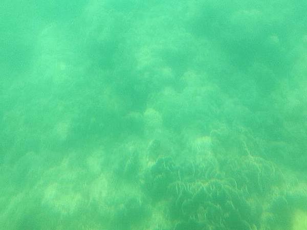 IMG20200914115223.jpg