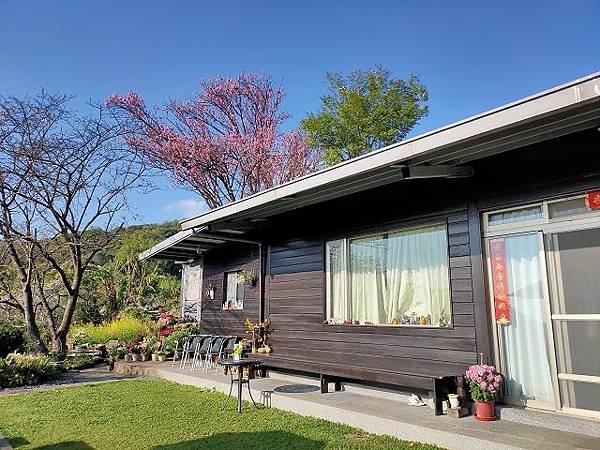 2022 陽明山花季，再訪湖山里秘境 ~ 曹家頂坪櫻田