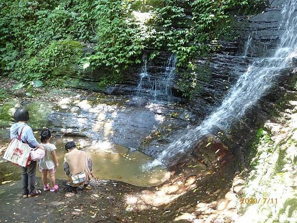 P1170302.jpg