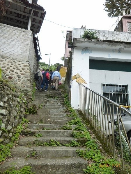P1080117.jpg
