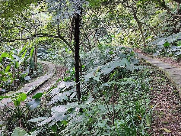 土城山中湖用餐，文筆山、將軍嶺輕鬆行