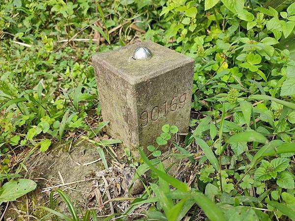 土城山中湖用餐，文筆山、將軍嶺輕鬆行
