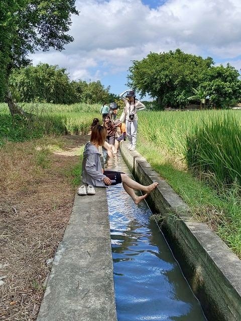 跟著廣播去遊學 ~ 關渡平原採筊白筍活動