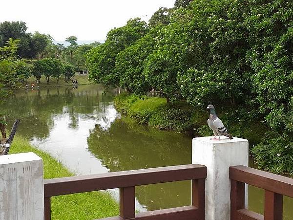 南港公園