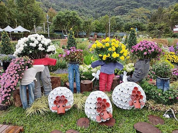 2020士林官邸菊展 ~ 藝菊童遊，一起同遊