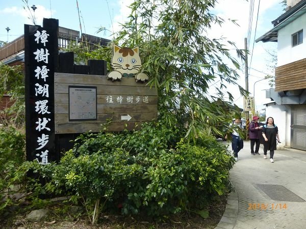 遊貓空，賞花賞景走步道