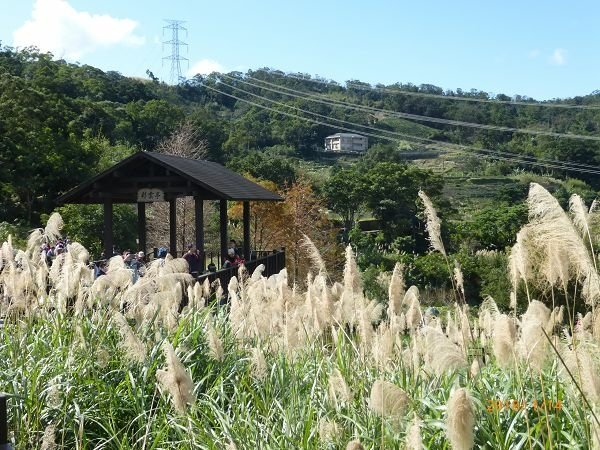 遊貓空，賞花賞景走步道