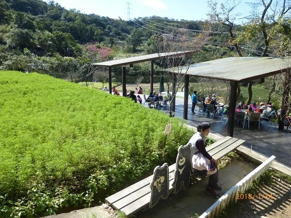 遊貓空，賞花賞景走步道