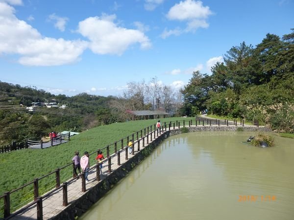 遊貓空，賞花賞景走步道