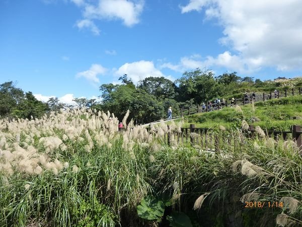 遊貓空，賞花賞景走步道