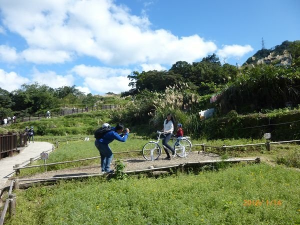 遊貓空，賞花賞景走步道