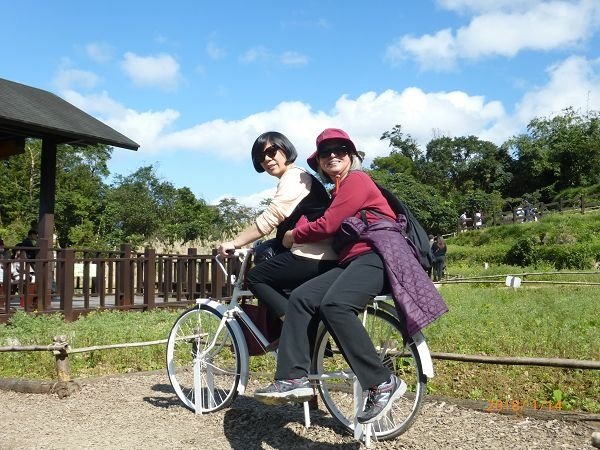 遊貓空，賞花賞景走步道