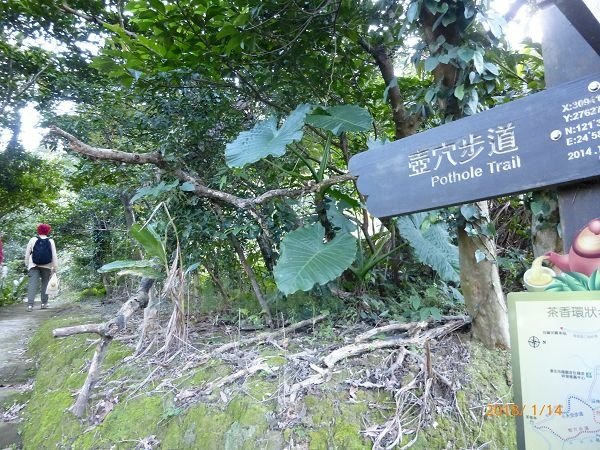 遊貓空，賞花賞景走步道