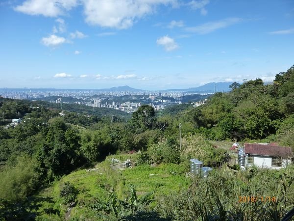 遊貓空，賞花賞景走步道