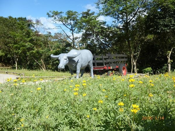 遊貓空，賞花賞景走步道