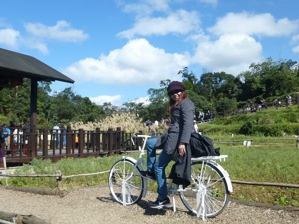 遊貓空，賞花賞景走步道