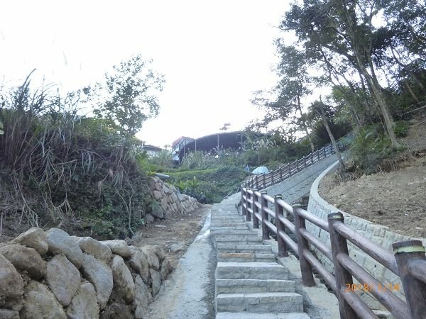 遊貓空，賞花賞景走步道