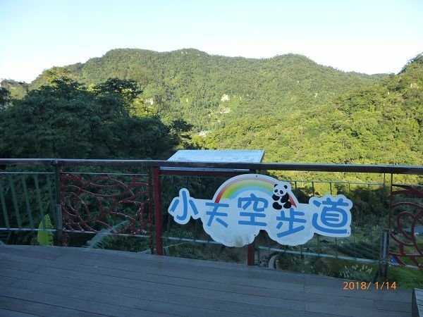 遊貓空，賞花賞景走步道