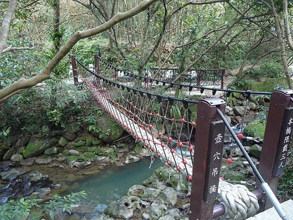 遊貓空，賞花賞景走步道