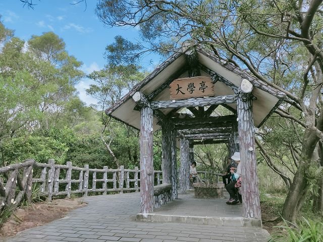 軍艦岩親山步道尋花蹤 ~ 刺葉桂櫻