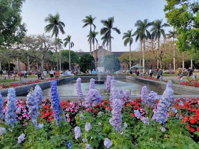 台大杜鵑花季 ~ 小木屋鬆餅、綠房子、醉月湖，悠閒遊