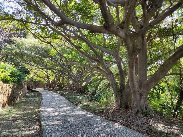 硫磺谷地熱景觀區 ~ 硫磺谷步道、溫泉泡腳池，悠閒半日遊