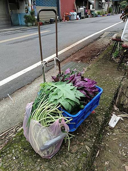 三峽竹崙茶香綠生活 ~ 低碳餐與手工紅茶製作