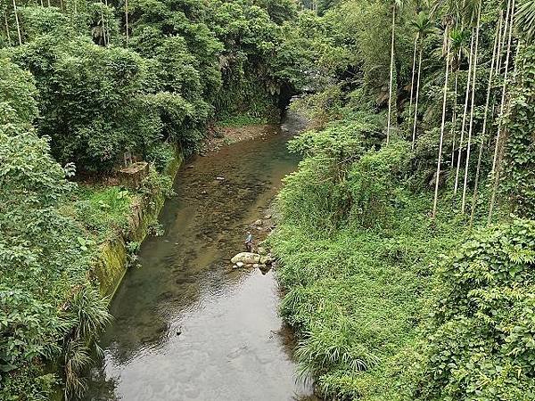 三峽竹崙茶香綠生活 ~ 低碳餐與手工紅茶製作